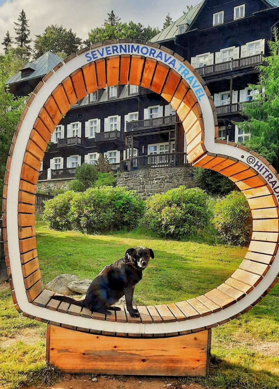 Apartman Pod Smrcinou Vaclavov u Bruntalu Luaran gambar